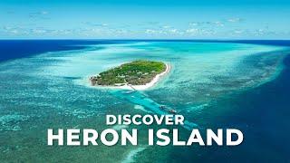 Discover Heron Island  Southern Great Barrier Reef