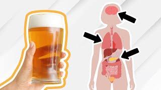 Everything Alcohol Does To Your Body