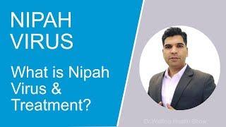 What is Nipah Virus? What is the treatment of Nipah virus ?
