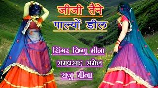 #meena_geet  जीजी तैने पाल्यों डील  vishnu meena  ramprasad samel raju meena