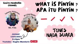  LIVE  Apa itu Pinyin dalam Mandarin Nada suaraTones