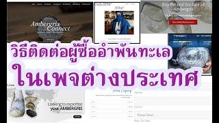 แนะวิธีขายอำพันทะเลในเพจต่างประเทศ อยากรวยโปรดชมให้จบคลิป