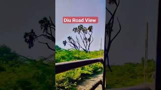 Diu Road View Indian highway road #diu #roadtrip #trip #tour #views