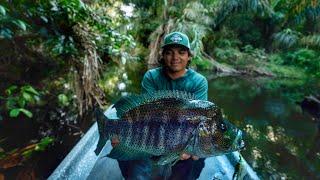 Viaje más de 2500 kms Para Pescar este TROFEO Guapote en Nicaragua