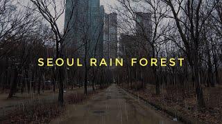 Relaxing Walking in the Rain Seoul Forest Korea 4K ASMR  Rain Ambience Umbrella Sounds Sleep Study
