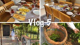 Sessiz Vlog  Köyde Pazar Kahvaltısı Bahçe  Aileyle Haftasonu