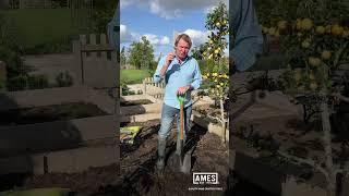 David Domoney AMES Garden Tips - Dont Dig Wet Soil