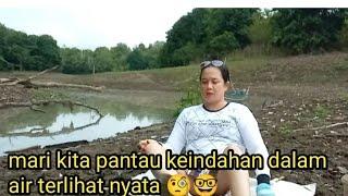 pantau teruss sarang ikan tilapia nya