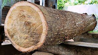 Sawing old acacia logs that are hard and good for door frames and so on