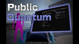 RUST Cheat Showcase  Quantum Cheats