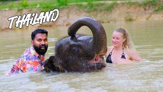 One Day With Elephant  ആനയും ഞാനും പിന്നെ  M4 Tech 