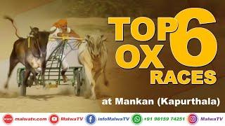 𝐓𝐎𝐏 𝟔 𝐎𝐗 𝐑𝐀𝐂𝐄𝐒  MANKAN Kapurthala OX RACES - ਬਲਦਾਂ ਦੀਆਂ ਦੌੜਾਂ 2020  MalwaTV