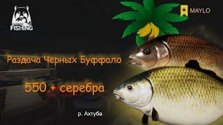 Фарм серебра  Буффало р. Ахтуба  Русская Рыбалка 4  РР4 MAYLO