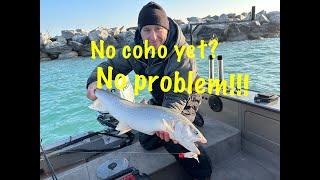 Jigging for MONSTER Lake Trout Waiting on Coho..Out of Hammond IN on Lake Michigan 222024