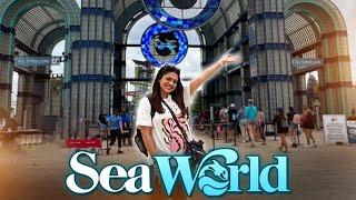 Our Trip to SEA WORLD 