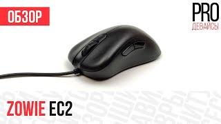 Обзор Zowie EC2. Минорное обновление лучшей эрго мыши в мире