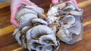 3 Minute Recipe - Oyster Mushroom Side Dish Tastes Better Than Meat
