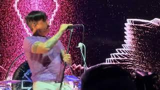 Red Hot Chili Peppers - Scar Tissue Live 4K