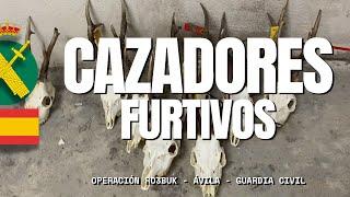 Desarticulada una trama de cazadores furtivos que manipulaba precintos de caza para reutilizarlos