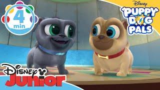 Puppy Dog Pals  Music Videos   Disney Kids