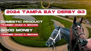 2024 Tampa Bay Derby G3 Domestic Product 2024 Kentucky Derby Contender