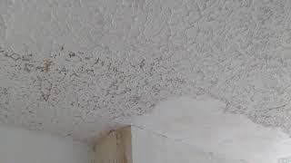 DO NOT remove your artex ceiling. WATCH THIS FIRST