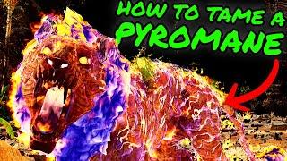 PYROMANE Easy Taming Guide How to Tame a Pyromane on The Center in Ark Survival Ascended