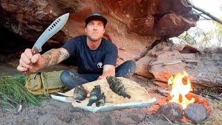 3 DAYS solo survival - NO FOOD NO WATER NO SHELTER in OUT BACK AUSTRALIA