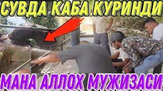 САМАРКАНДАГИ АЛЛОХ МУЖИЗАСИ ХАММА КИРСИН #путешествие #trip