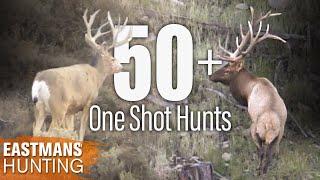 Best One Shot Kills  50 Rifle and Bow Hunts with Eastmans Hunting Journals