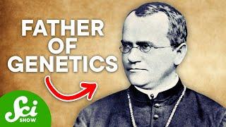 The Man Who Discovered Dominant & Recessive Genes Meet Gregor Mendel