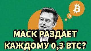 Раздача BTC от Илона Маска.. в ТикТоке? «Старый-Новый» скам с бесплатными Биткоинами