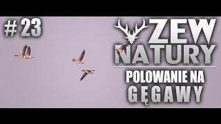 Zew Natury #23 - Polowanie na gęsi