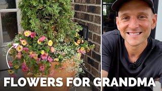 A Colorful Flowerpot for Grandma + Planting a Succulent Container  Gardening with Wyse Guide