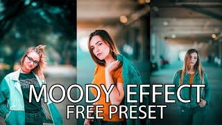 How to Moody Effect EditingFree PresetPhotoshop Tutorial