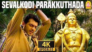 Seval Kodi - 4K Video Song சேவல்கொடி பறக்குதடா  Billa  Ajith Kumar  Yuvan Shankar Raja  Ayngaran