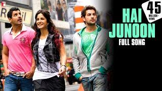 Hai Junoon Song  New York  John Abraham Katrina Kaif Neil Nitin Mukesh  KK  Pritam  है जुनून