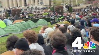 Columbia orders NYPD to clear pro-Palestinian student encampment 100+ arrested  NBC New York