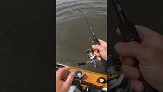 Vertical Jig Fishing for Stripers