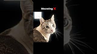 Mewing