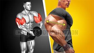 Best Bicep and Tricep Workout for Bigger Arms