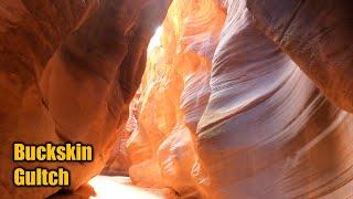 Buckskin Gulch slot canyon hike