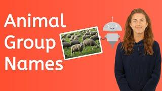 How to Name Animal Groups