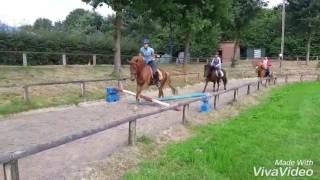 Sommerferien auf dem Reiterhof Budde  2