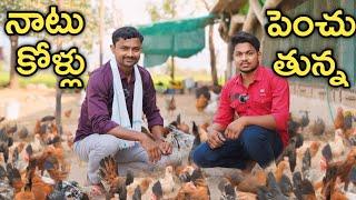 నాటు కోళ్లు పెంచుతున్న  Country Chicken Farming  రైతు బడి