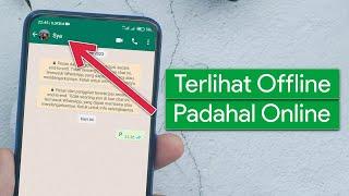 Cara Membuat WhatsApp Offline Padahal Sedang Online