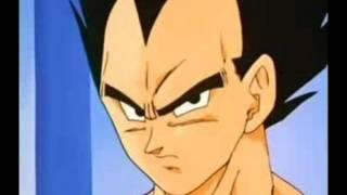 Vegeta and Gokus Most Serious Conversation Ever