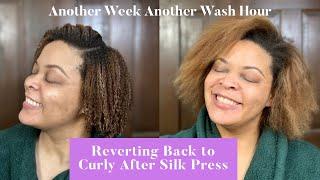 Silk Press to Natural Hair 4C Tight Curls  Best Products Routine Olaplex Redken Malibu C & K18