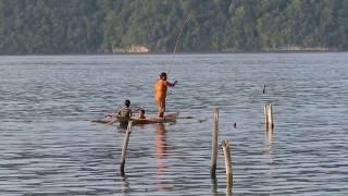 CARA MANCING IKAN TRADISIONAL