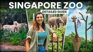 What To Expect in Singapore Zoo - How To Reach Singapore Zoo  Full Details